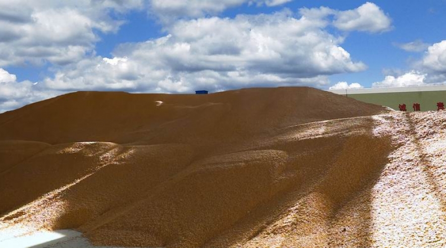 臺安稷豐糧食經(jīng)銷有限公司